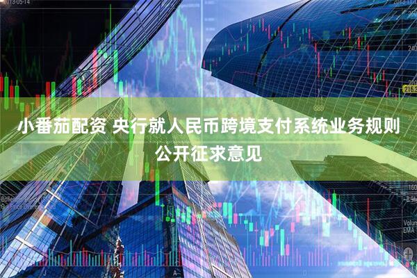 小番茄配资 央行就人民币跨境支付系统业务规则公开征求意见