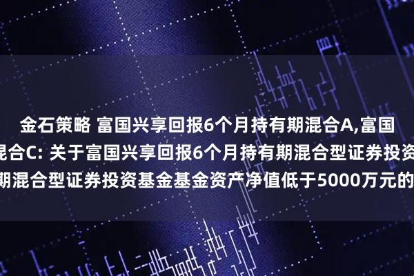 金石策略 富国兴享回报6个月持有期混合A,富国兴享回报6个月持有期混合C: 关于富国兴享回报6个月持有期混合型证券投资基金基金资产净值低于5000万元的提示性公告