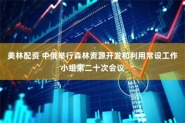 美林配资 中俄举行森林资源开发和利用常设工作小组第二十次会议